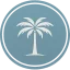 Icon 002